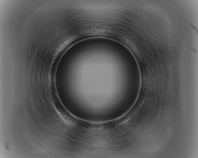 X0000092110674200709121619