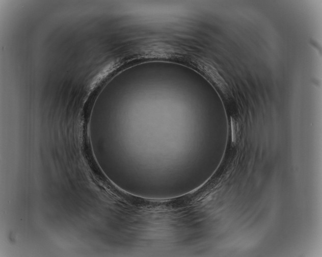 X0000092110675200709121619