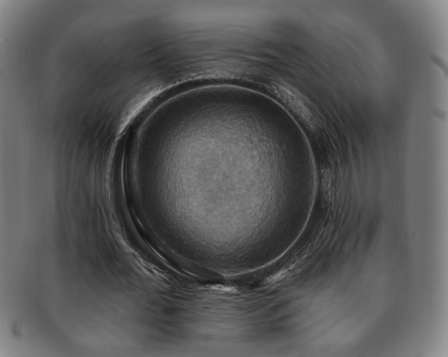 X0000092110676200709121619