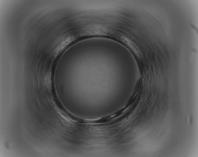 X0000092110677200709121619