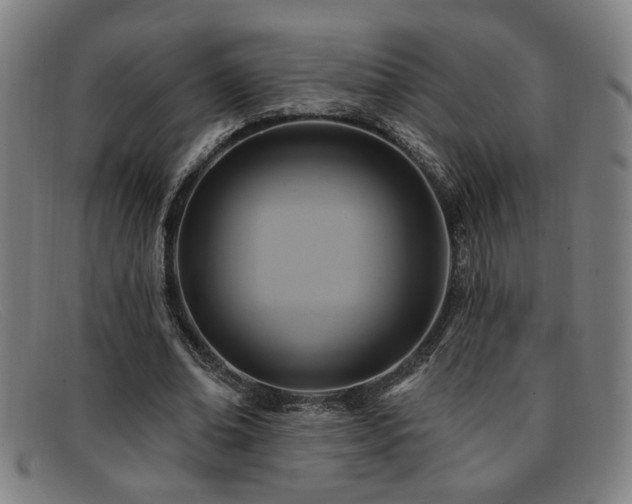 X0000092110678200709121619