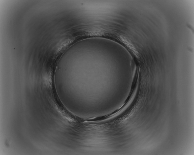 X0000092110681200709121618