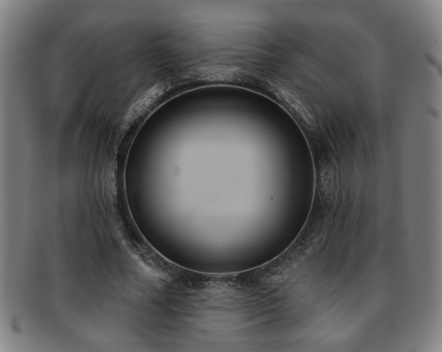 X0000092110682200709121618