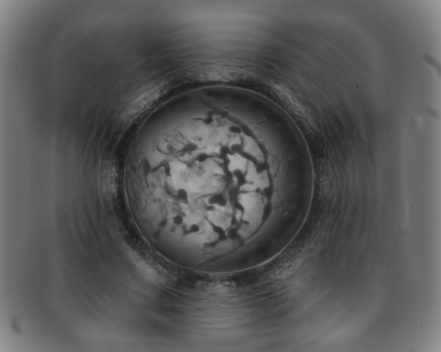 X0000092110683200709121618