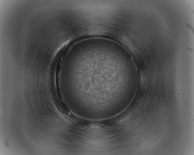 X0000092110684200709121618