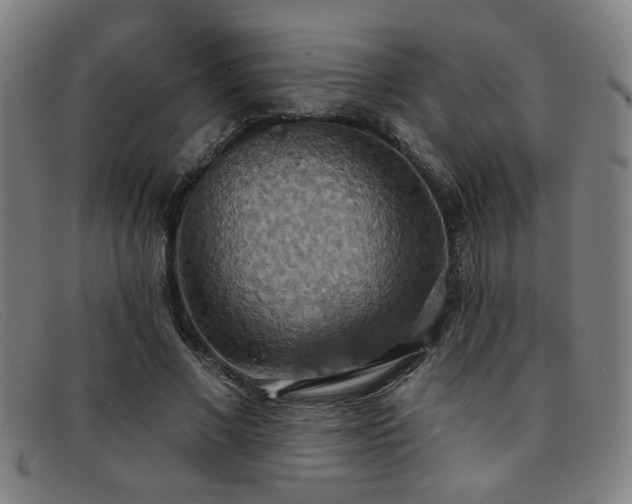 X0000092110685200709121618