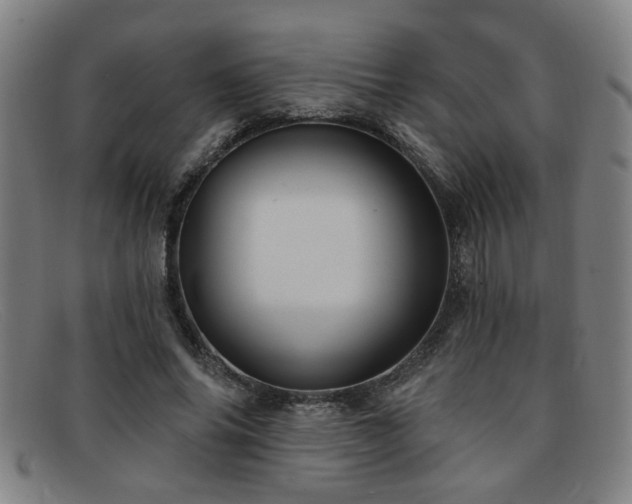 X0000092110686200709121618