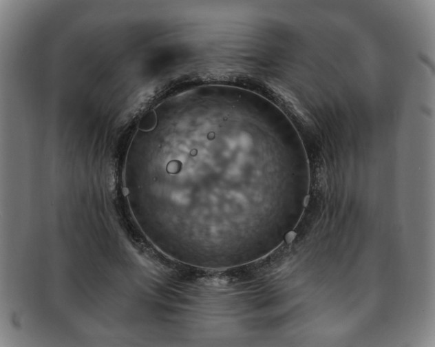 X0000092110687200709121618