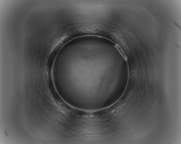 X0000092110688200709121618