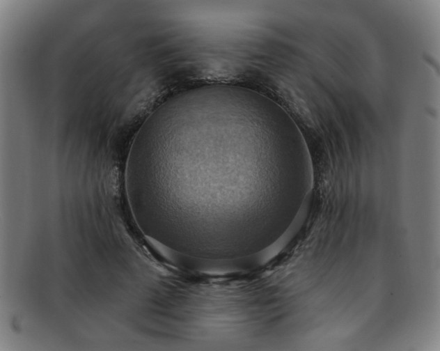 X0000092110689200709121618