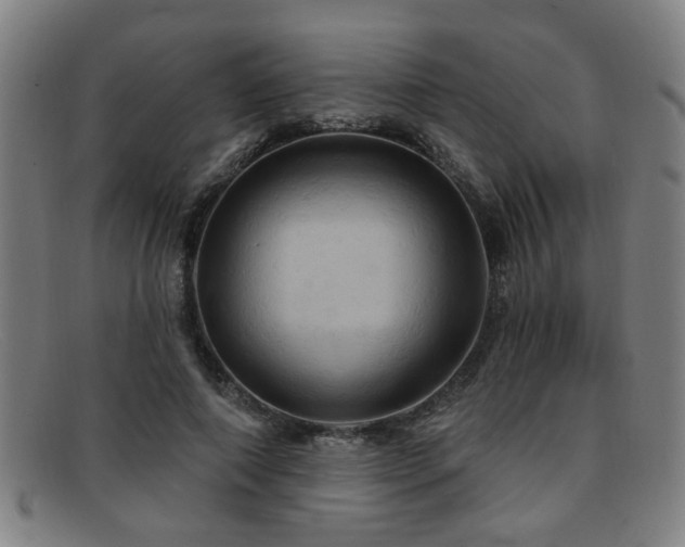 X0000092110690200709121618