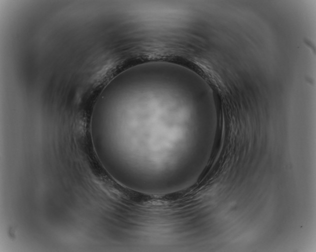 X0000092110691200709121618