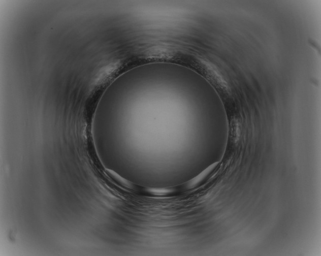 X0000092110692200709121618