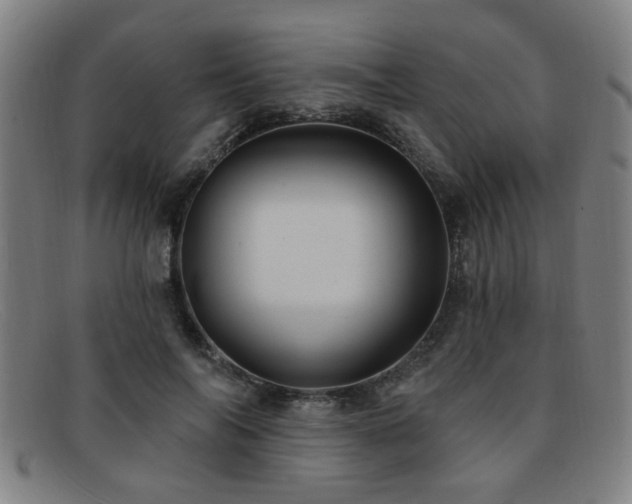 X0000092110694200709121618