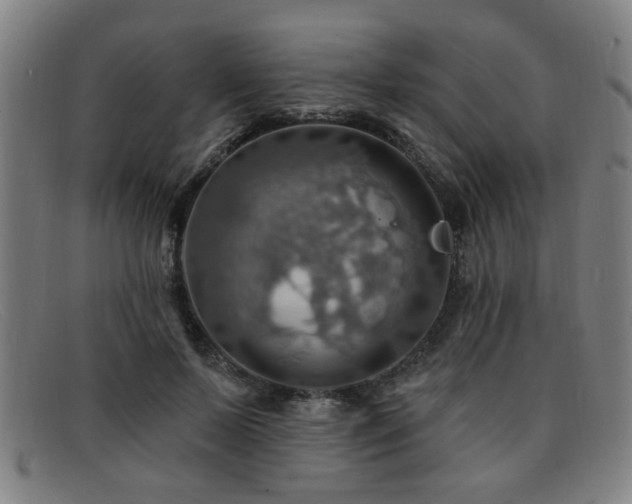 X0000092110695200709121618