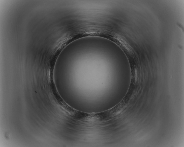 X0000092110696200709121618