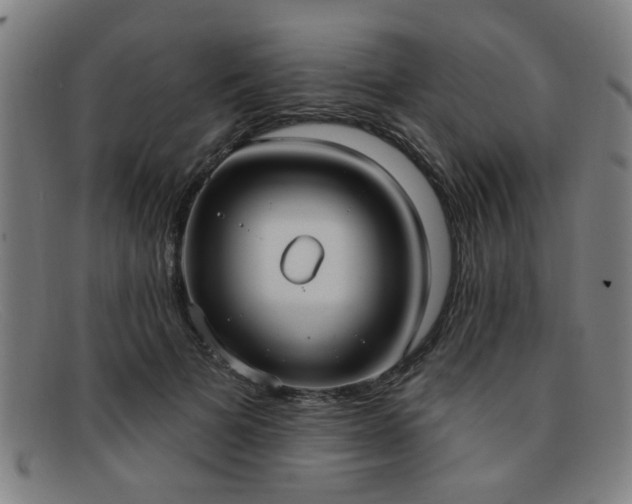 X0000092110697200709121618