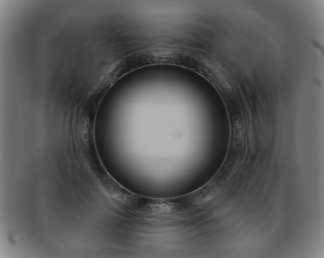 X0000092110698200709121618