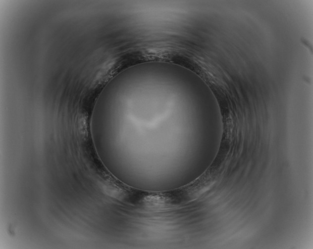 X0000092110699200709121618