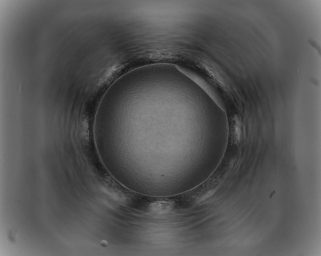 X0000092110700200709121618