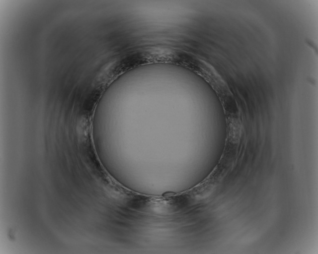 X0000092110701200709121618