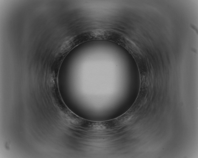 X0000092110702200709121618