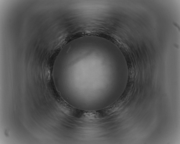 X0000092110703200709121618