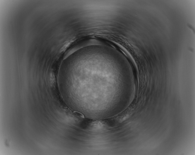 X0000092110704200709121618