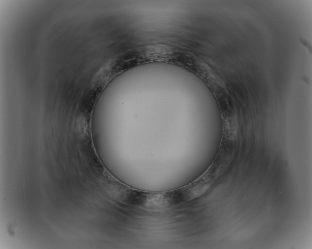 X0000092110705200709121618