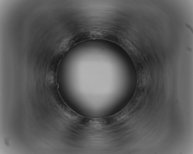 X0000092110706200709121618