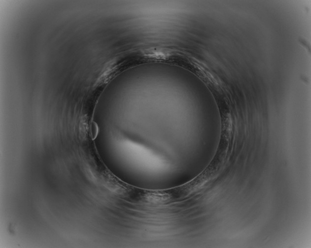 X0000092110707200709121618