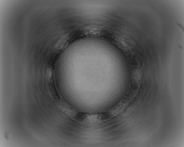 X0000092110709200709121618