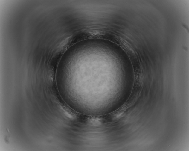 X0000092110710200709121618