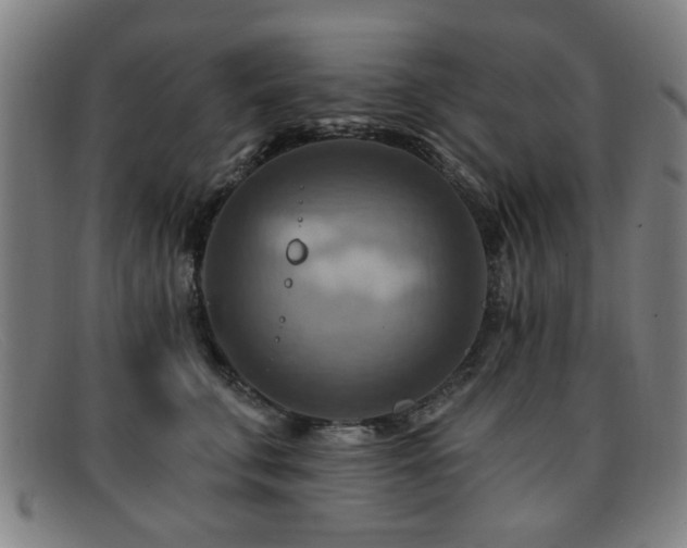 X0000092110711200709121618