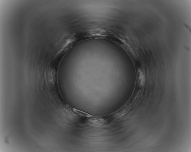 X0000092110712200709121618