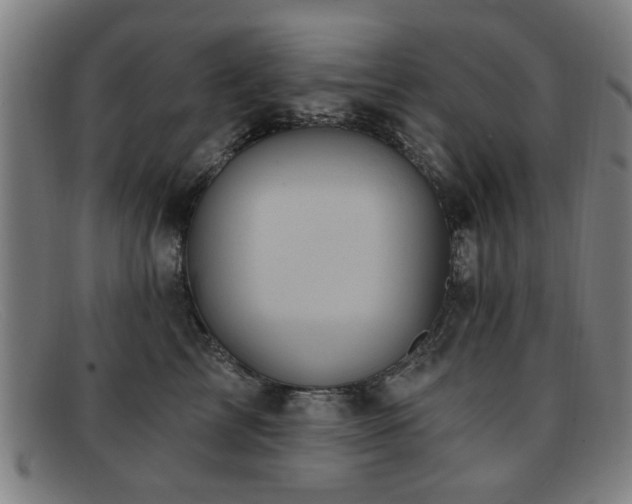 X0000092110713200709121618