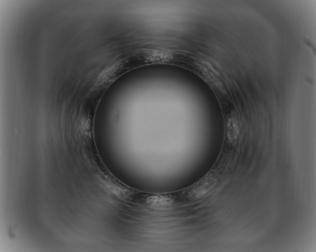 X0000092110714200709121618