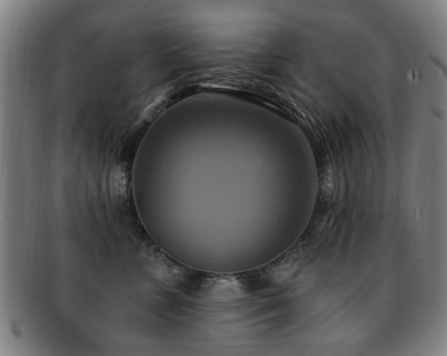 X0000092110715200709121618