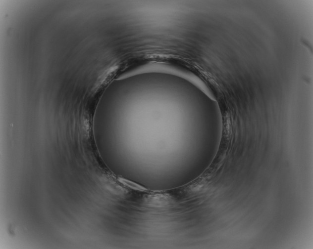 X0000092110716200709121618