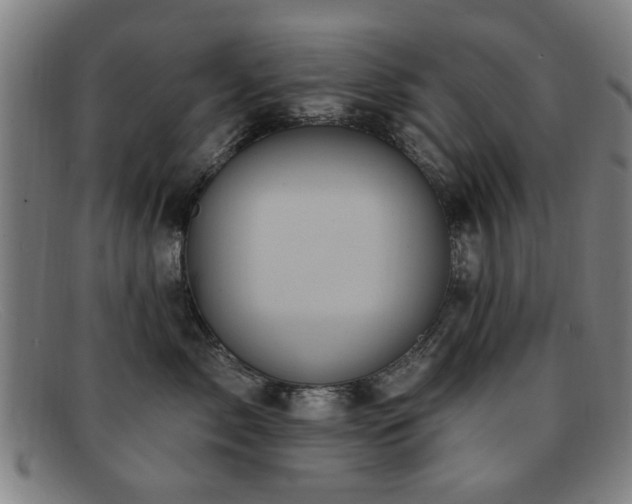 X0000092110717200709121618