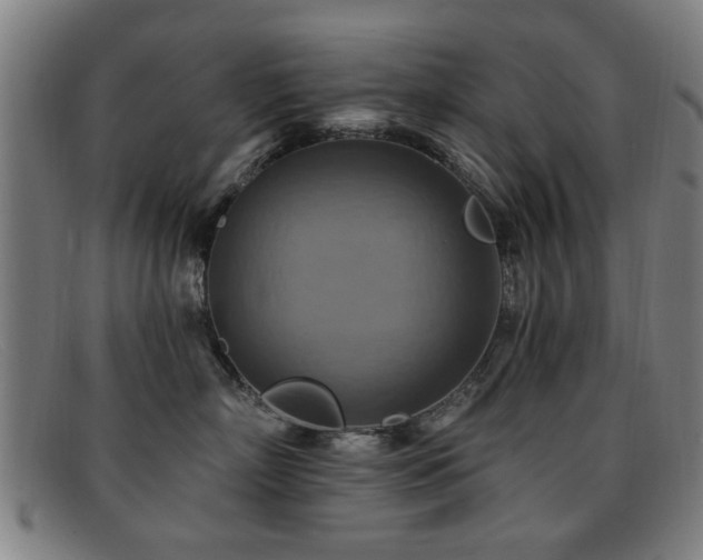 X0000092110718200709121618