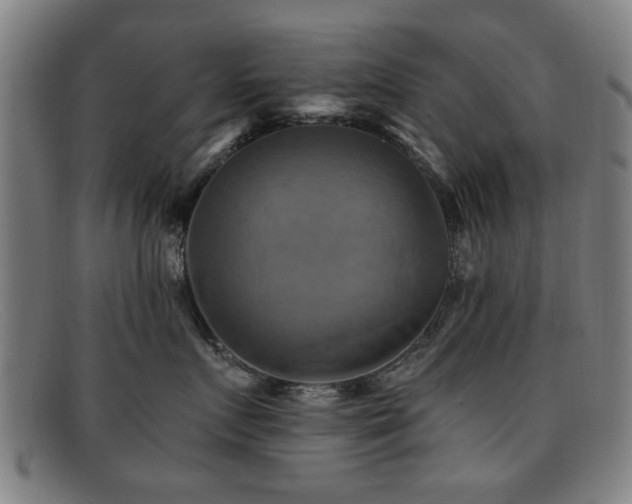 X0000092110719200709121618