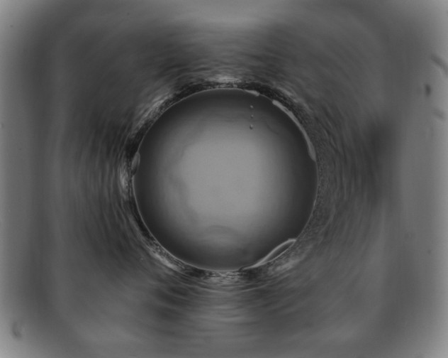 X0000092110720200709121618