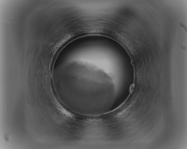 X0000092110721200709121617