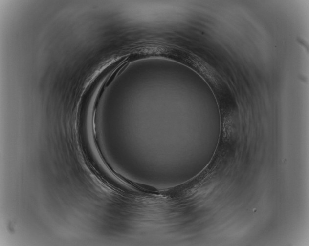 X0000092110722200709121617