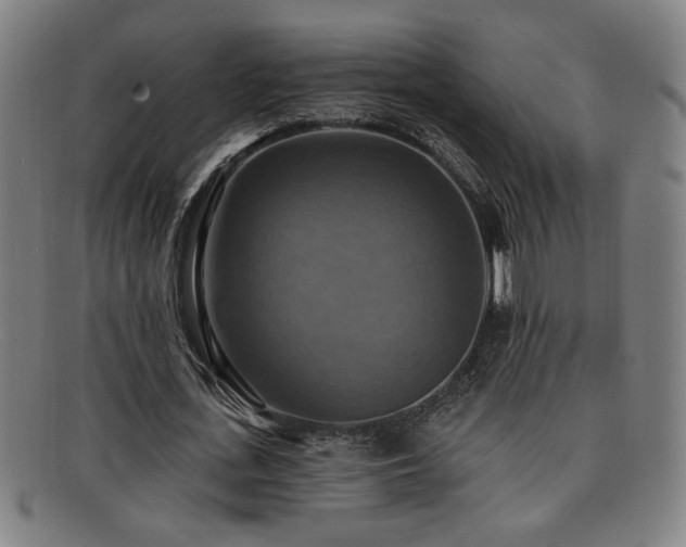 X0000092110723200709121617