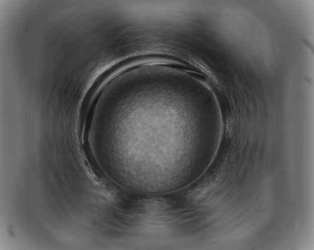 X0000092110724200709121618