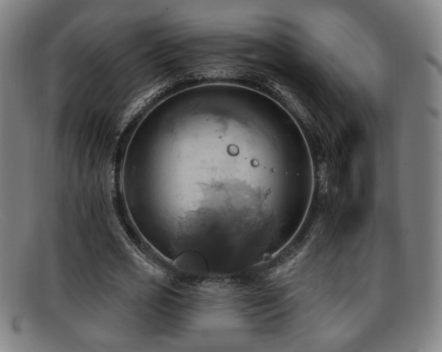 X0000092110725200709121618