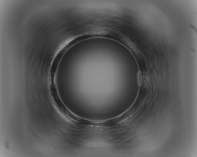 X0000092110726200709121618