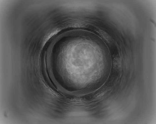 X0000092110727200709121618